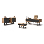 Vıyana Yönetici Seti